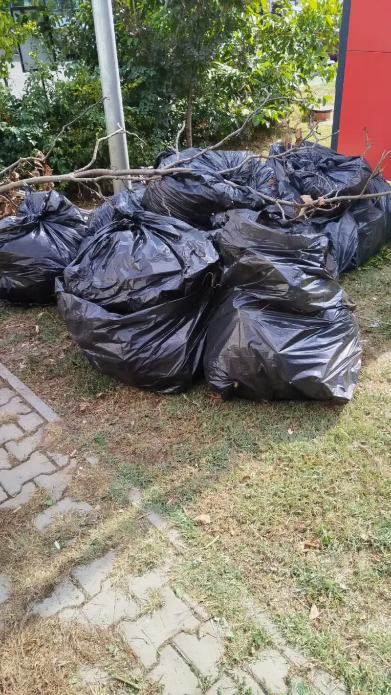 Debarasare Casă Ilfov